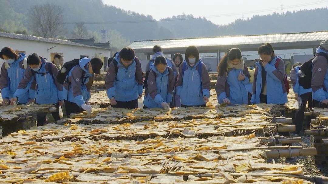 微信图片_2026-01-29_150934_139 微信图片_2026-01-29_150934_139