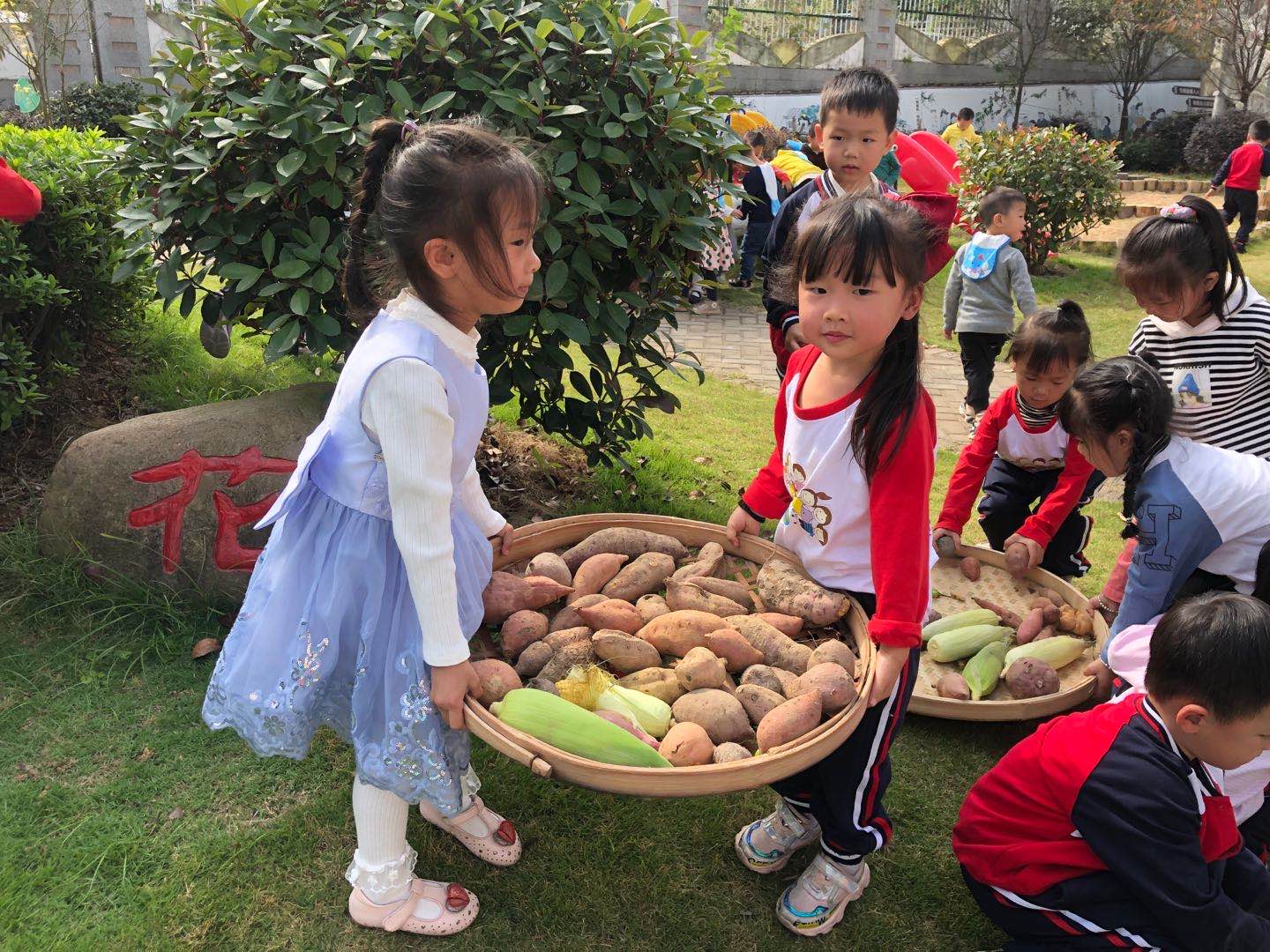微信图片_202010271324417