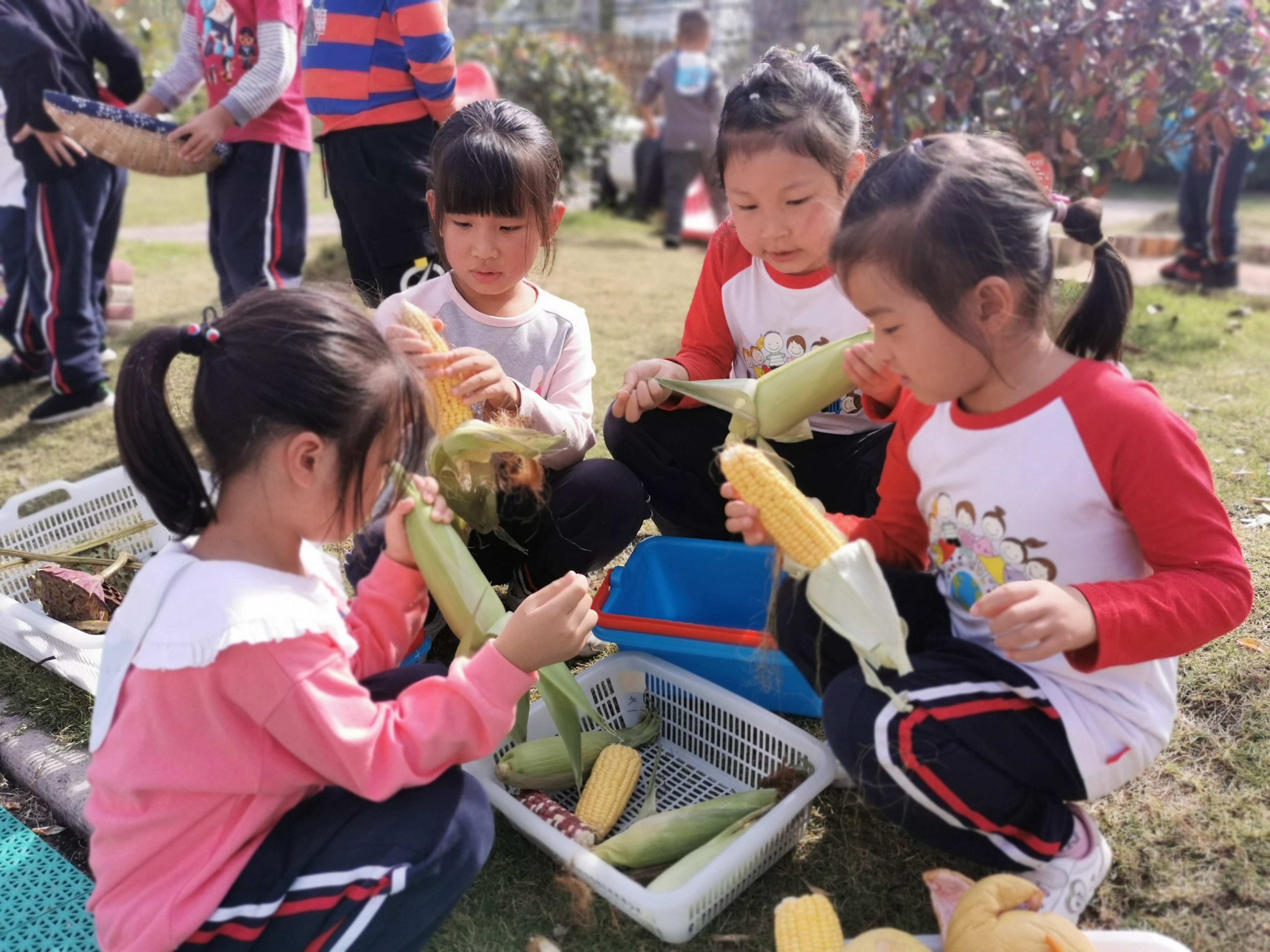 微信图片_202010271326044