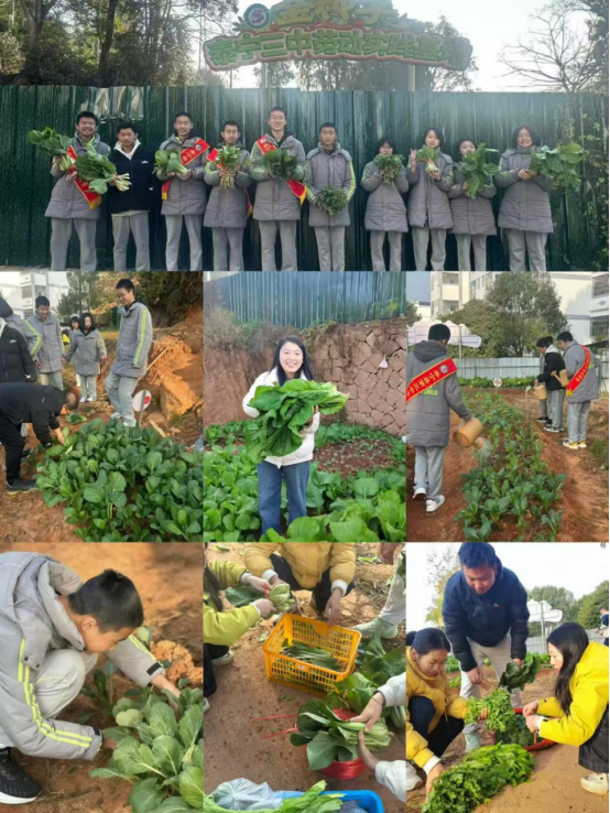 微信图片_2025-12-24_113927_405