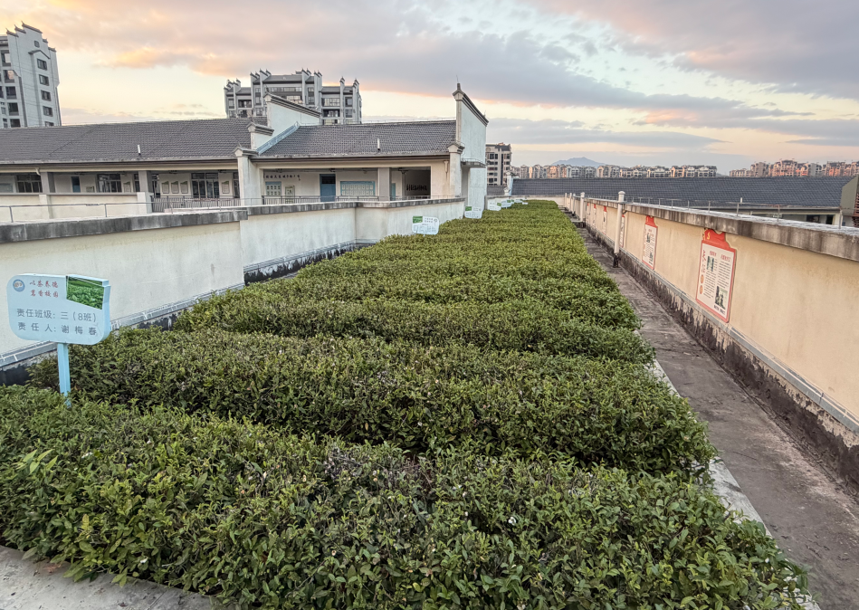 微信图片_2025-12-24_115212_422