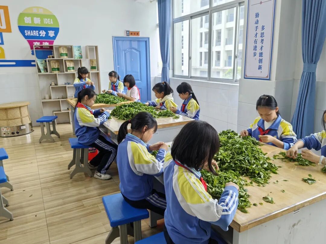 微信图片_2025-12-24_115326_822