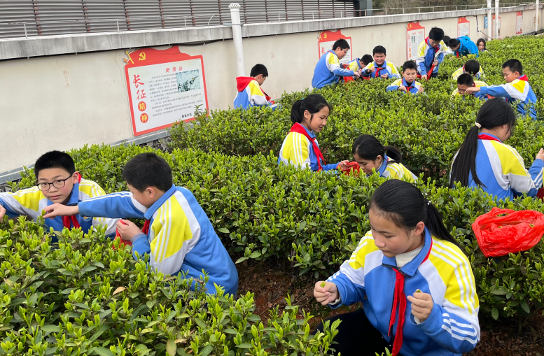 微信图片_2025-12-24_115322_534